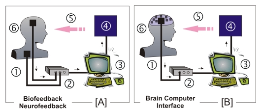 Biofeedback et BCI