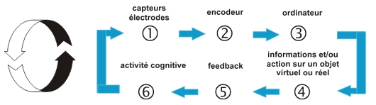 Boucle de feedback