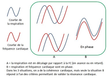 courbes FC Resp